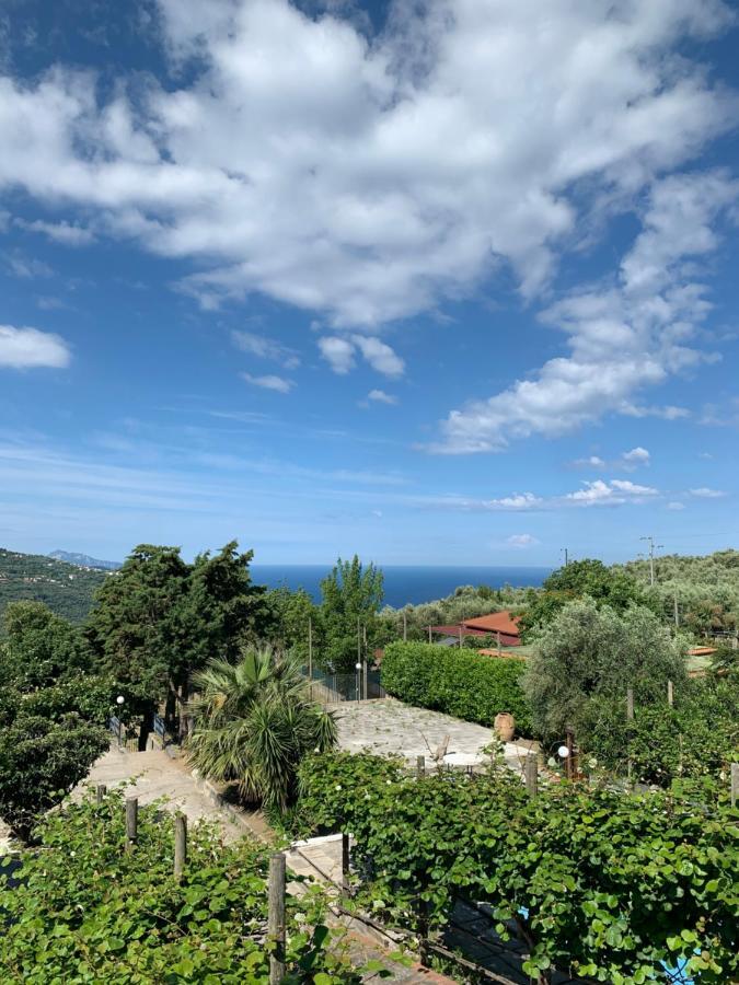 La Casa Del Sole Bed and Breakfast Vico Equense Eksteriør billede