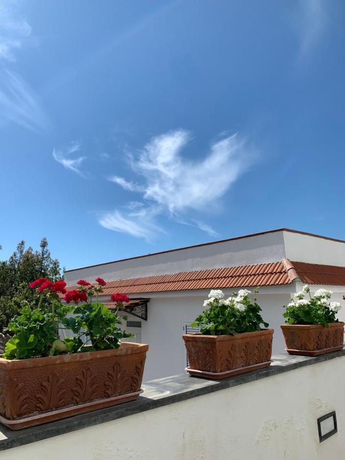 La Casa Del Sole Bed and Breakfast Vico Equense Eksteriør billede