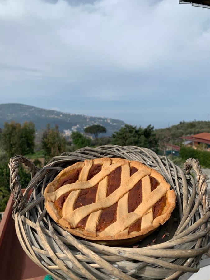 La Casa Del Sole Bed and Breakfast Vico Equense Eksteriør billede