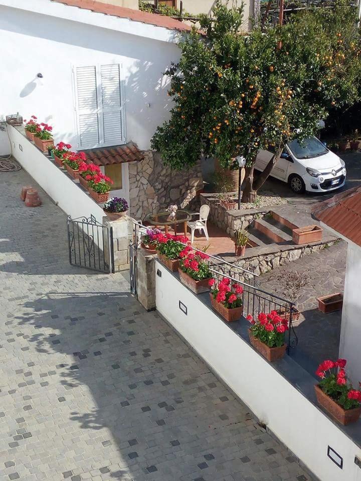 La Casa Del Sole Bed and Breakfast Vico Equense Eksteriør billede